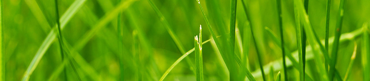 ddos网页在线攻击